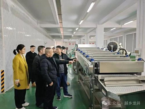 俞燎遠(yuǎn)研究員深入嵊州調(diào)研，為茶產(chǎn)業(yè)技術(shù)推廣與升級把脈開方